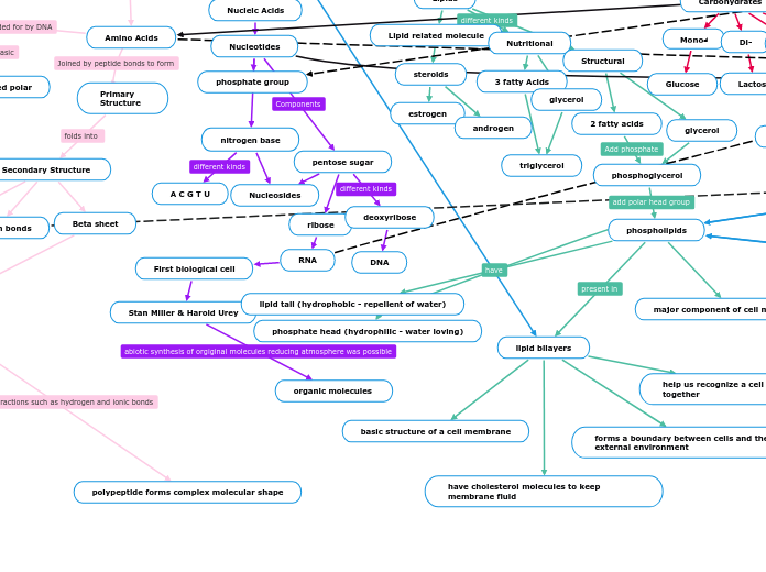 Biomolecules Mind Map